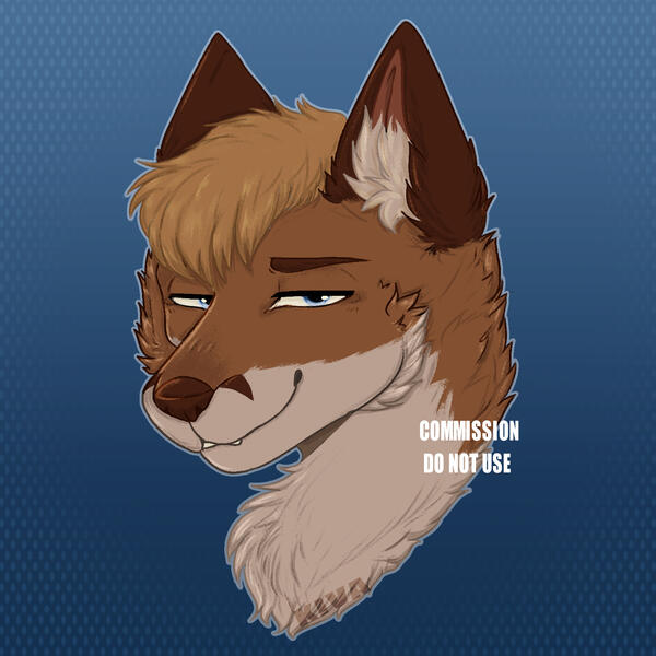 Color + shading (Coray)